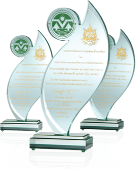 ปี 2551 บริษัทได้รับรางวัลจากการประกวด “โครงการบ้านจัดสรรอนุรักษ์พลังงานดีเด่น”